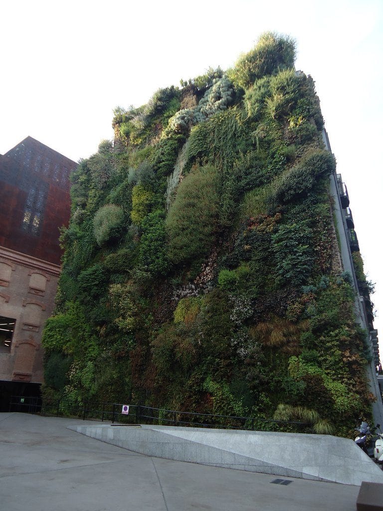 vertical-garden-12