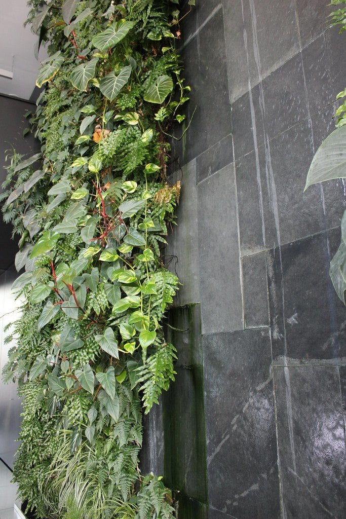 vertical-garden-14