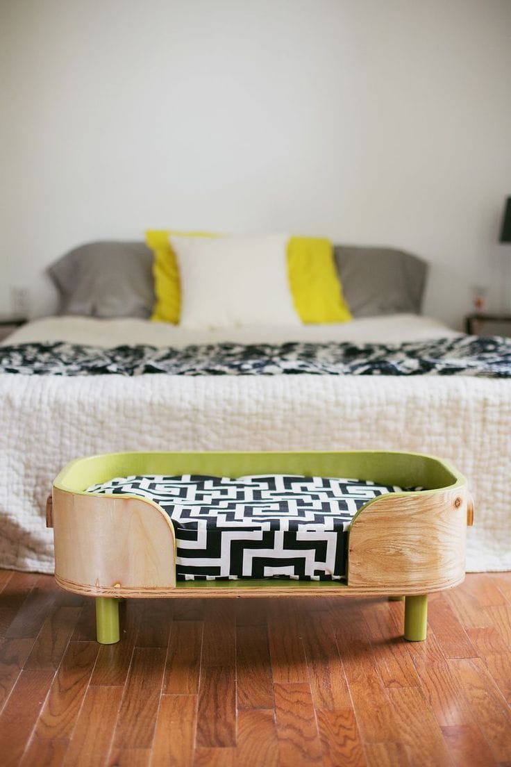 DIY Pets Decor Becoration